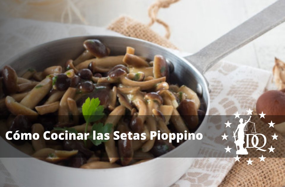 cómo cocinar las setas pioppino