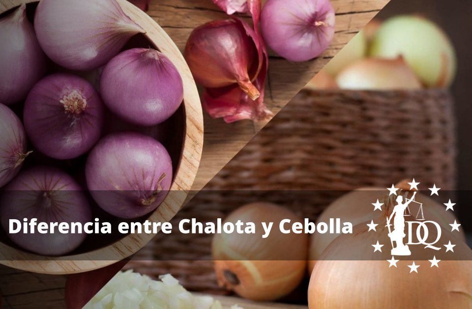 Diferencia entre Chalota y Cebolla