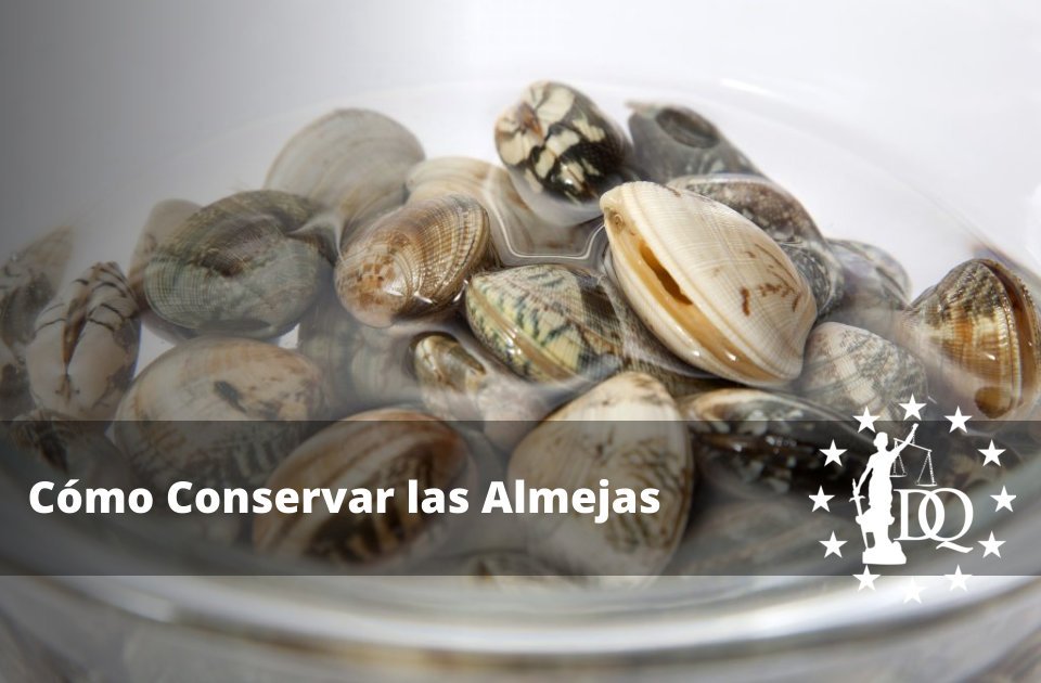 Cómo Conservar las Almejas 3 Métodos para Conservar las Almejas