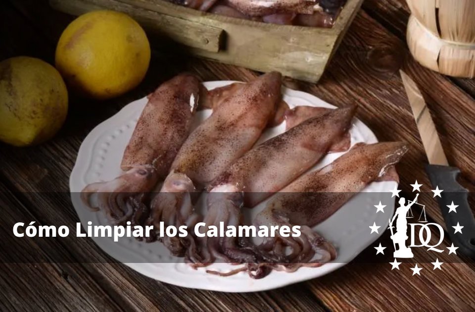 Cómo Limpiar los Calamares Cómo Quitar los Tentáculos de los Calamares para Cocinarlos