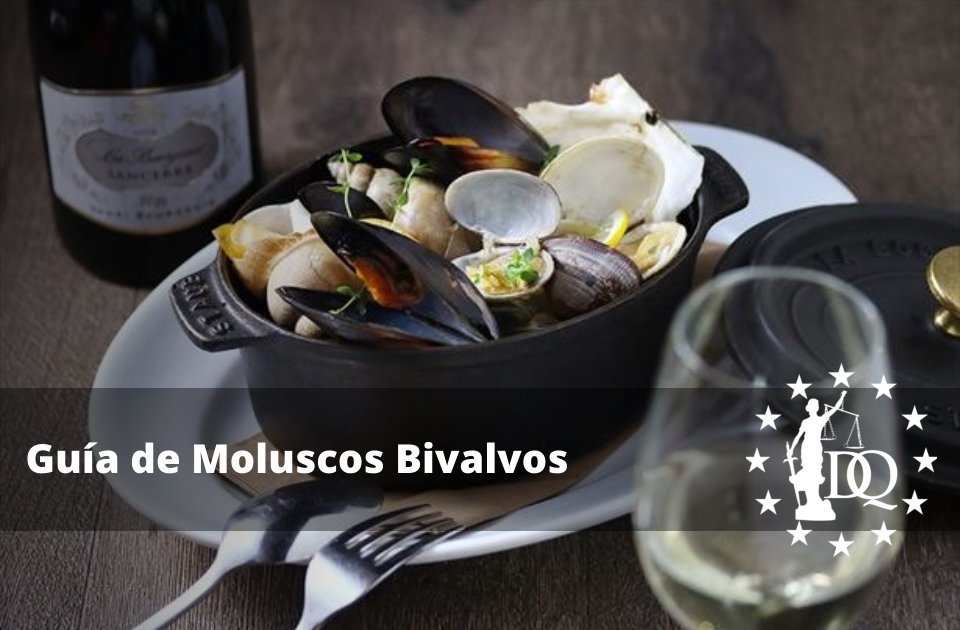 Guía de Moluscos Bivalvos Almejas Mejillones Ostras Vieiras