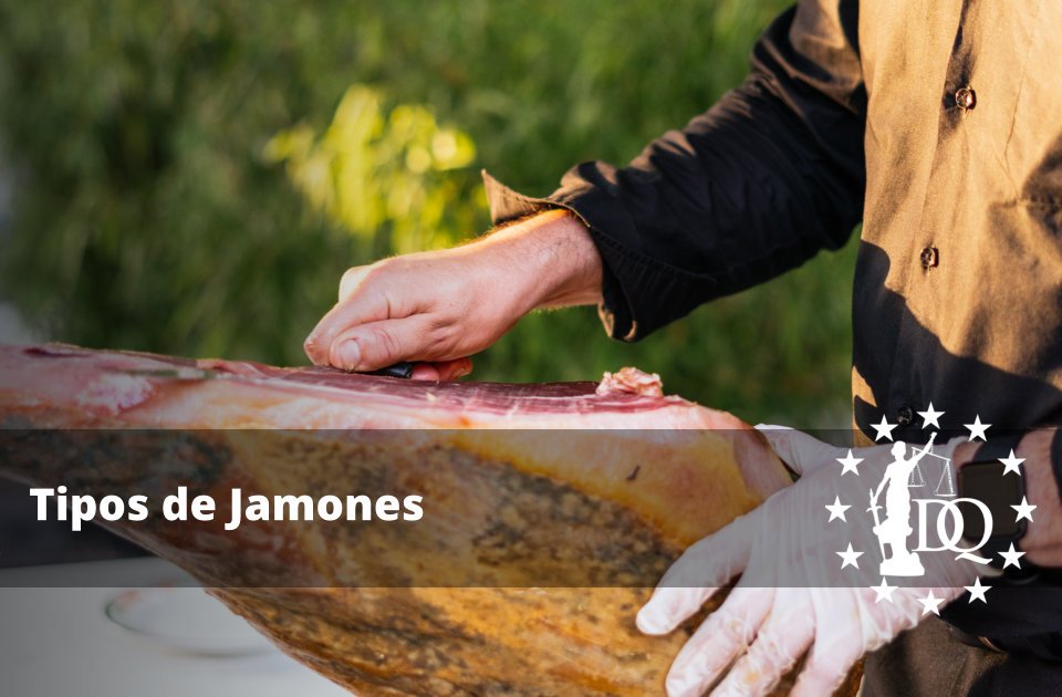 Tipos de Jamones Españoles Ibéricos y Bellota