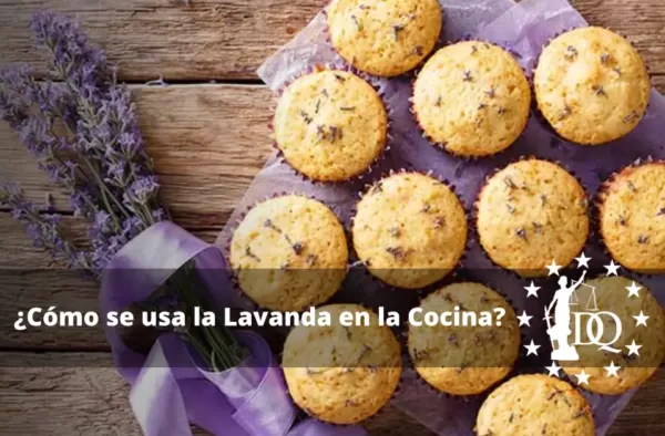 Cómo se usa la Lavanda en la Cocina