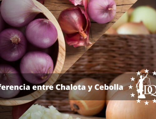 Diferencia entre Chalota y Cebolla