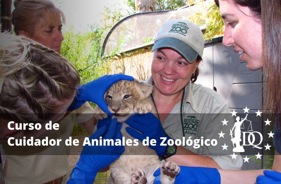 Curso Cuidador de Animales de Zoológico
