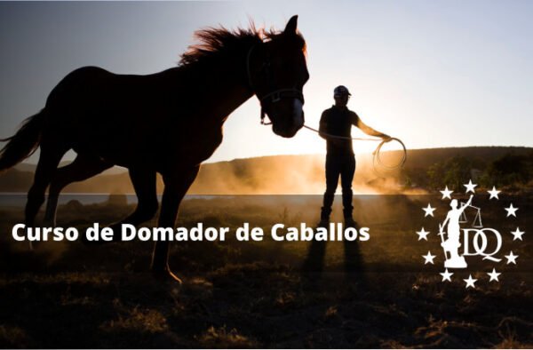 Curso Domador de Caballos