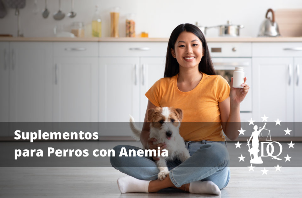 Suplementos para Perros con Anemia